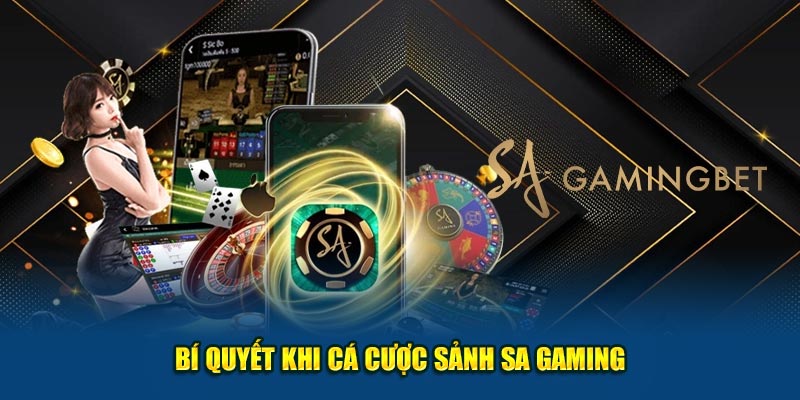 Bí quyết khi cá cược sảnh SA Gaming cho thành viên mới