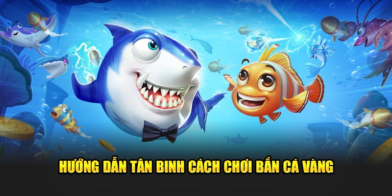 Hướng dẫn tân binh cách chơi bắn cá vàng