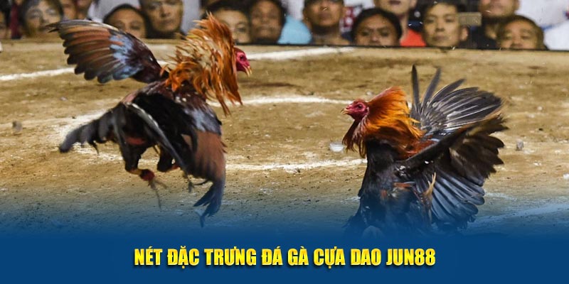 Nét đặc trưng đá gà cựa dao Jun88