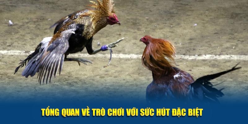 Tổng quan về trò chơi với sức hút đặc biệt  