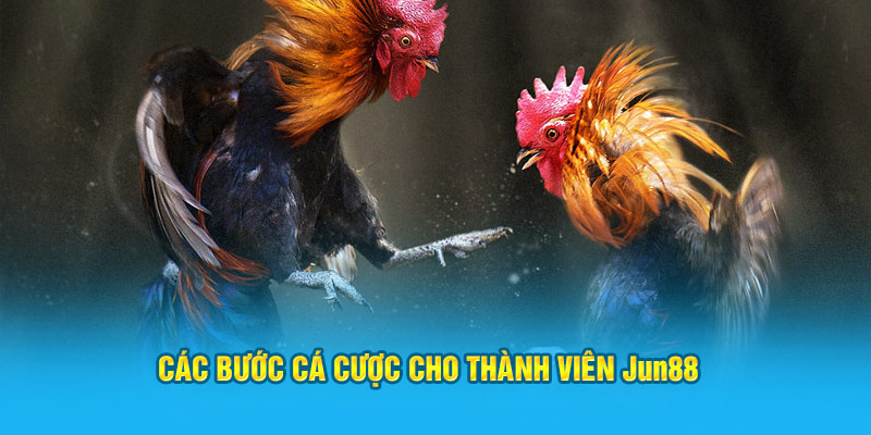 Các bước cá cược cho thành viên Jun88