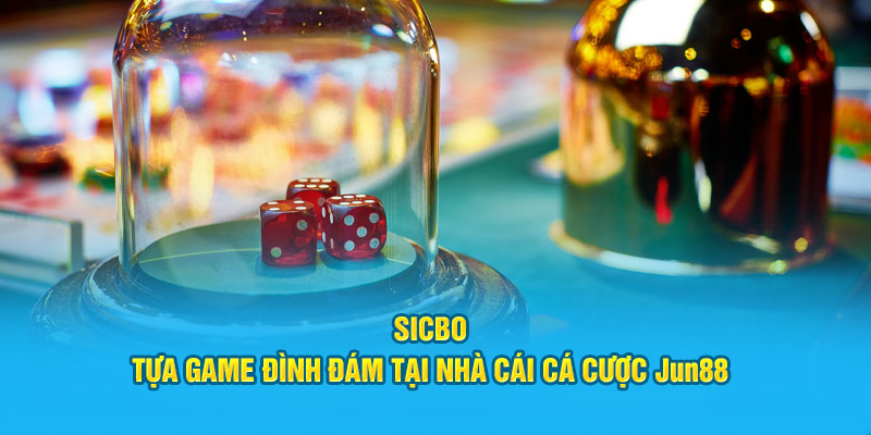 Sicbo - Tựa Game Đình Đám Tại Nhà Cái Cá Cược Jun88